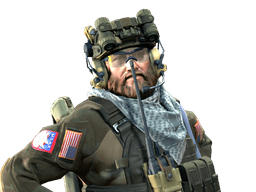 USAF TACP skin