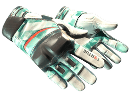 Moto Gloves skin
