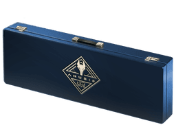 Collectible skin