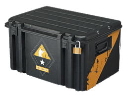 Case skin