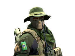 Brazilian 1st Battalion skin